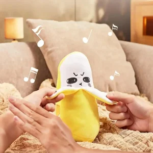 Interactive Music Plush Toy Set